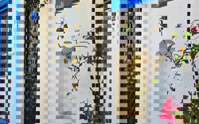 Bodrum’da Kira Fiyatları Neden Yükseliyor? 